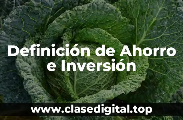 Definición técnica de Ahorro e Inversión