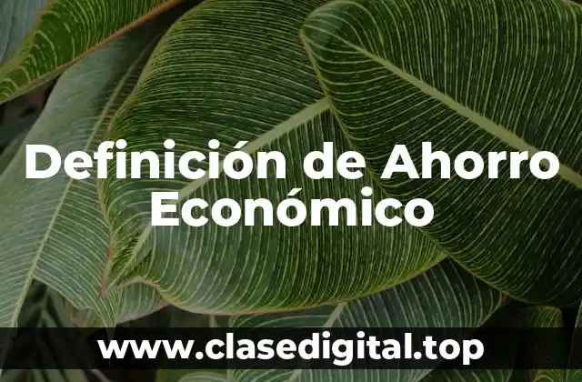 Definición de Ahorro Económico