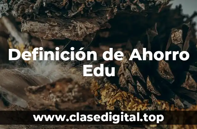 Definición de Ahorro Edu