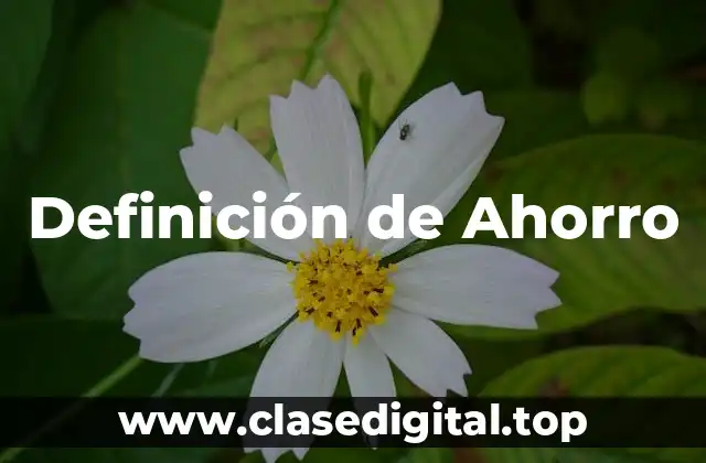 Definición técnica de Ahorro