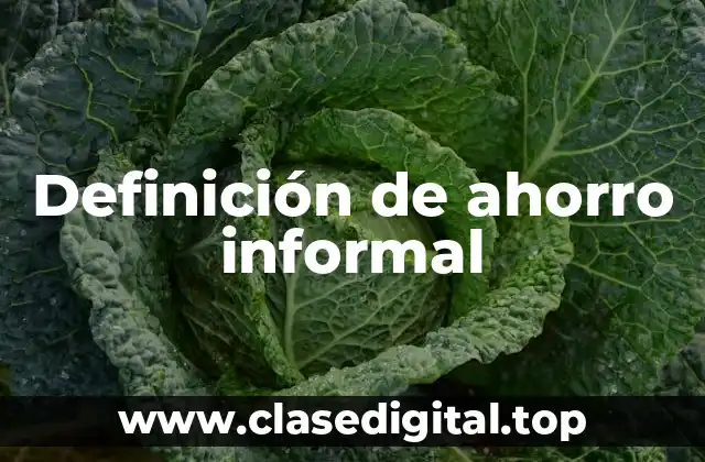 Definición de ahorro informal