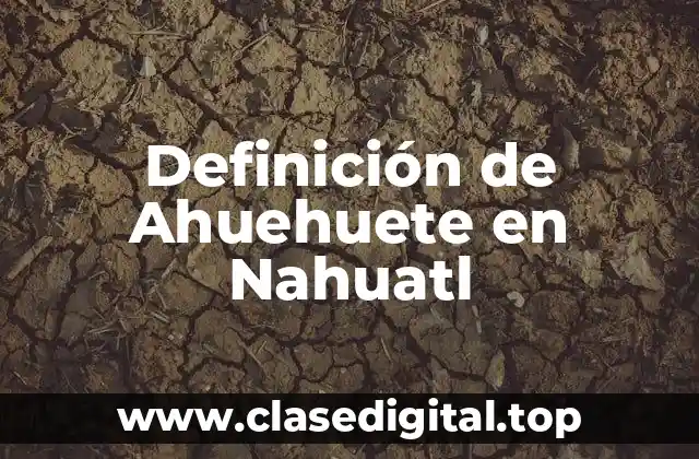 Definición de Ahuehuete en Nahuatl