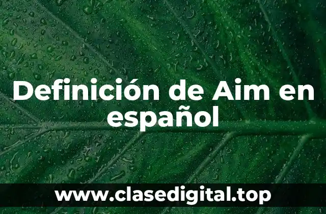 Definición técnica de Aim