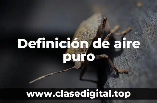 Definición de aire puro