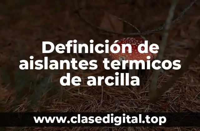 Ejemplos de aislantes térmicos de arcilla