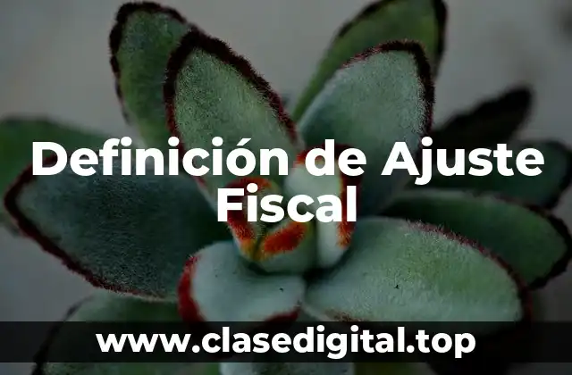 Definición de Ajuste Fiscal