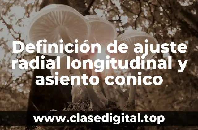 Definición de ajuste radial longitudinal y asiento conico