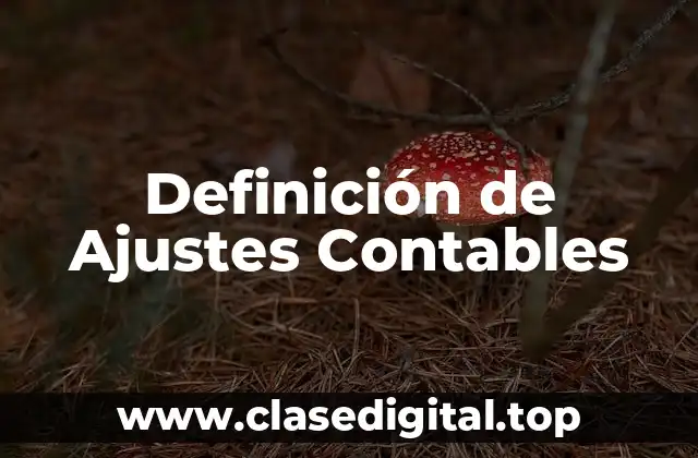 Definición de Ajustes Contables