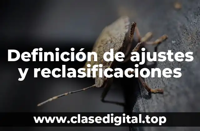Definición de ajustes y reclasificaciones