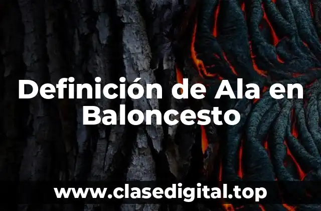 Definición técnica de Ala en Baloncesto