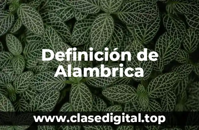 Definición de Alambrica