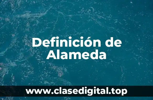Definición de Alameda