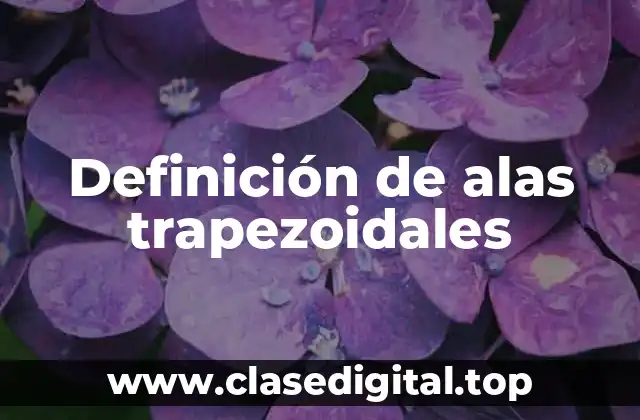 Definición de alas trapezoidales
