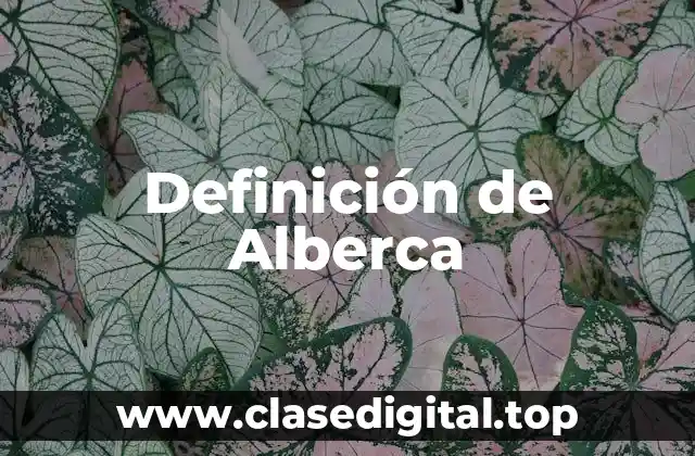 Definición de Alberca