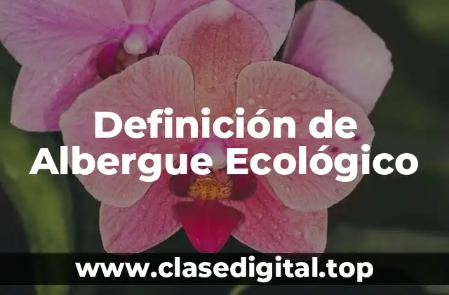 Definición de Albergue Ecológico