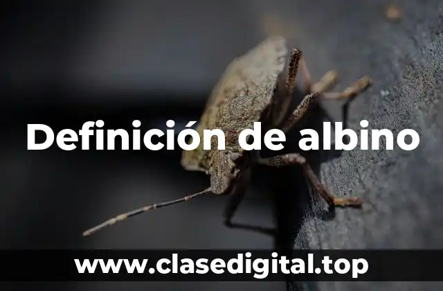 Definición de albino
