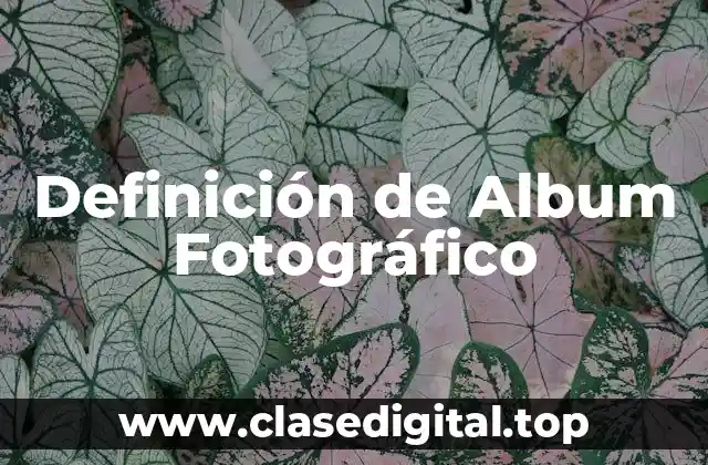 Definición de Album Fotográfico