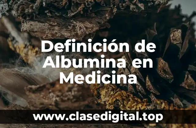 Definición de Albumina en Medicina