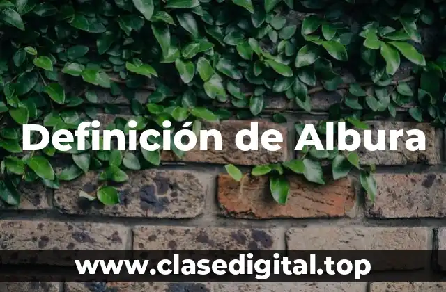 Definición de Albura