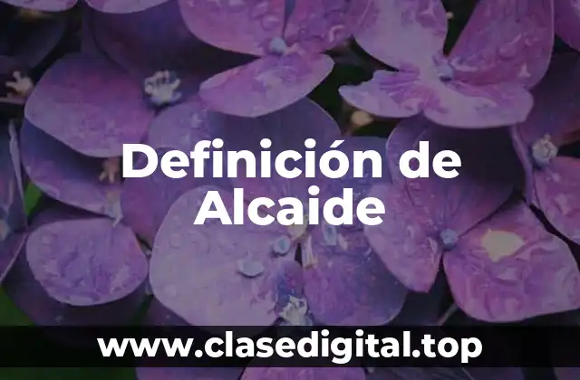 Definición de Alcaide