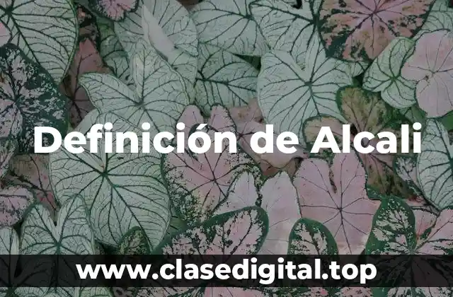 Definición de Alcali