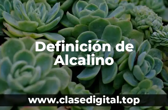 Definición técnica de alcalino