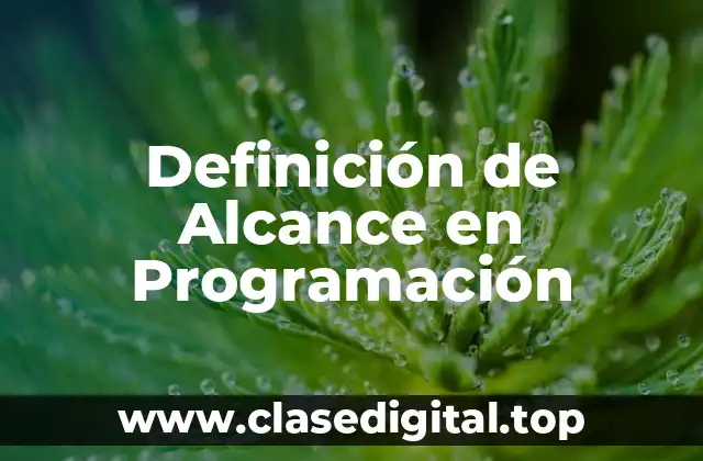 Definición de Alcance en Programación
