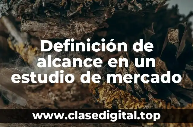 Definición de alcance en un estudio de mercado