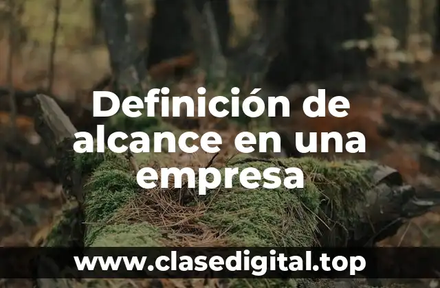Definición de alcance en una empresa