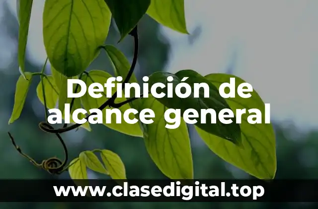 Definición de alcance general