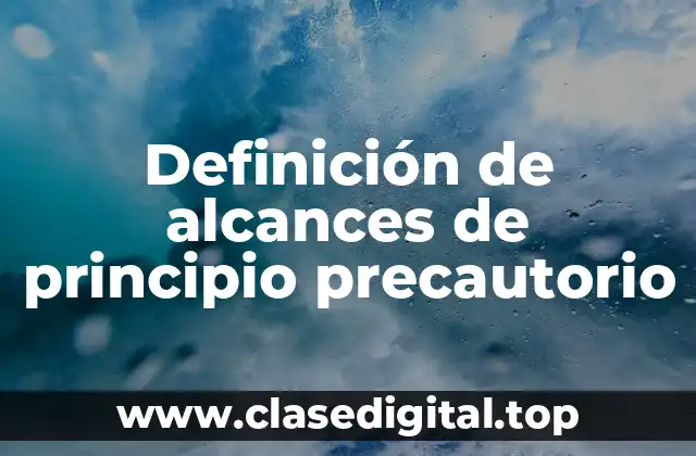 Definición de alcances de principio precautorio