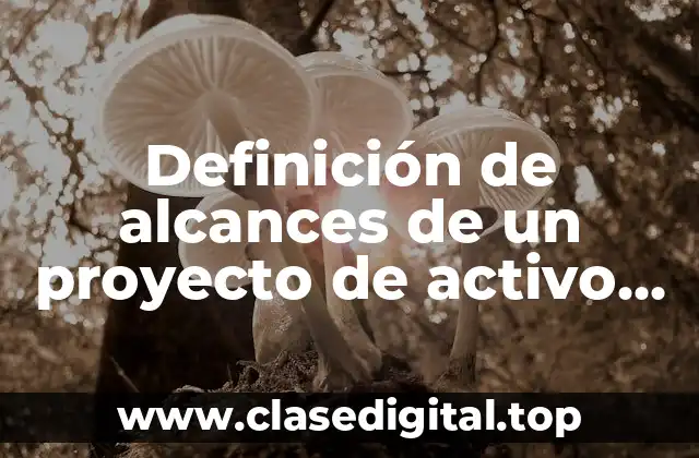 Definición de alcances de un proyecto de activo fijo