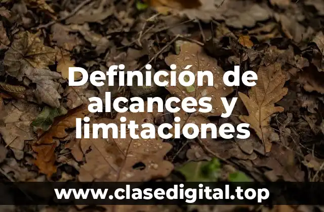 Definición técnica de alcances y limitaciones