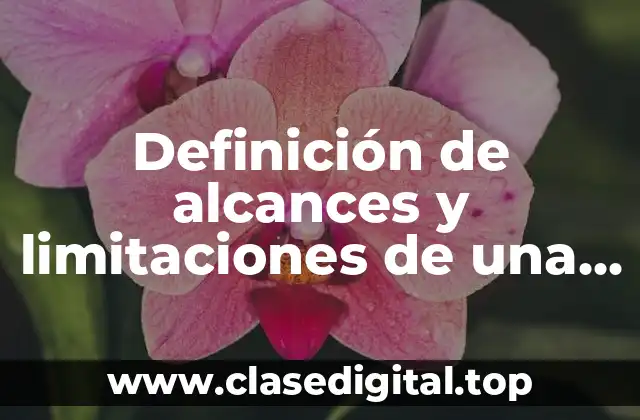 Definición de alcances y limitaciones de una empresa de alimentos