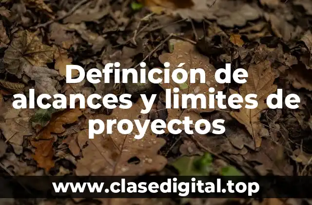 Definición de alcances y limites de proyectos