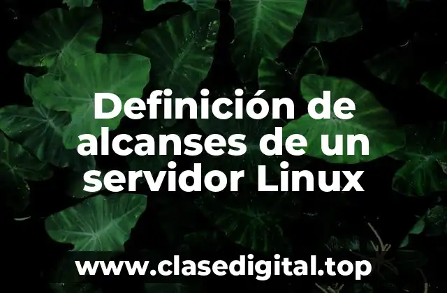 Definición de alcanses de un servidor Linux