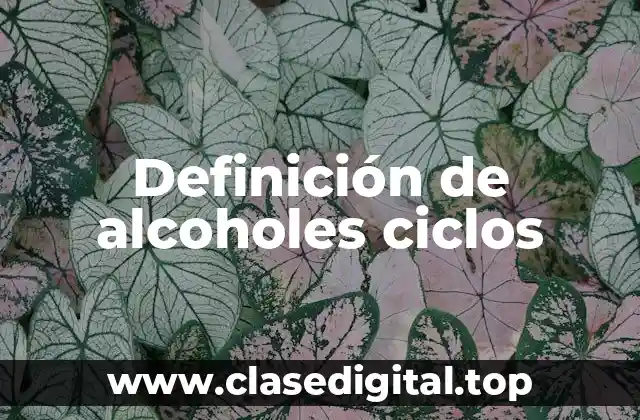Definición de alcoholes ciclos