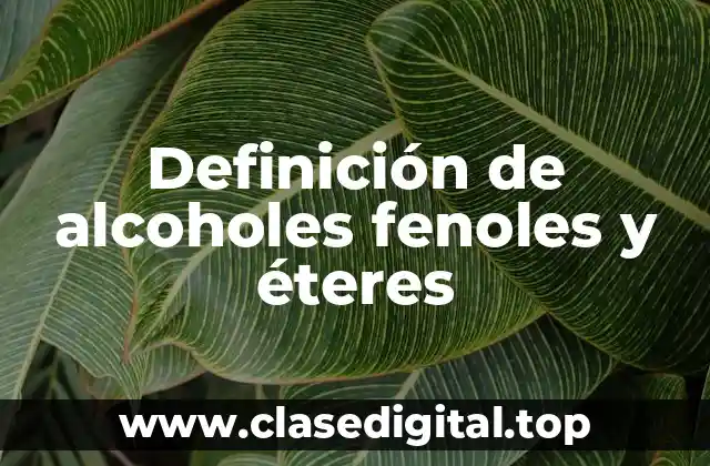 Definición técnica de alcoholes