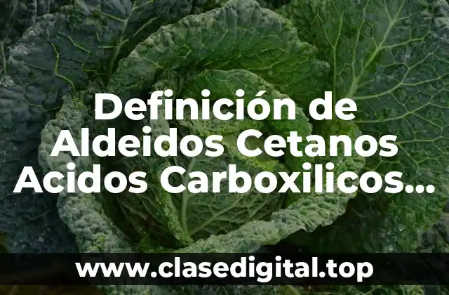 Definición de Aldeidos Cetanos Acidos Carboxilicos Esteres Amidas