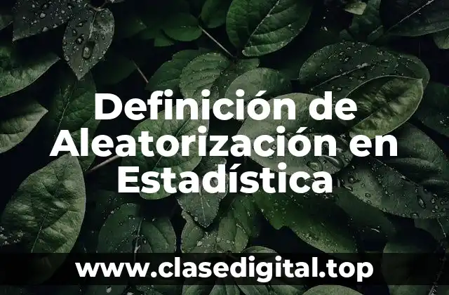 Definición de Aleatorización en Estadística