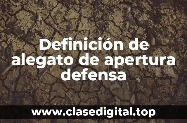 Ejemplos de alegato de apertura defensa