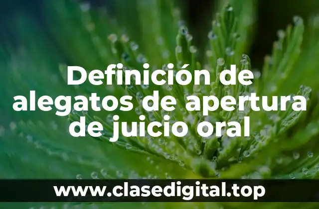 Definición de alegatos de apertura de juicio oral