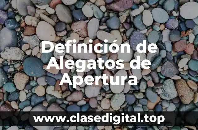 Definición de Alegatos de Apertura