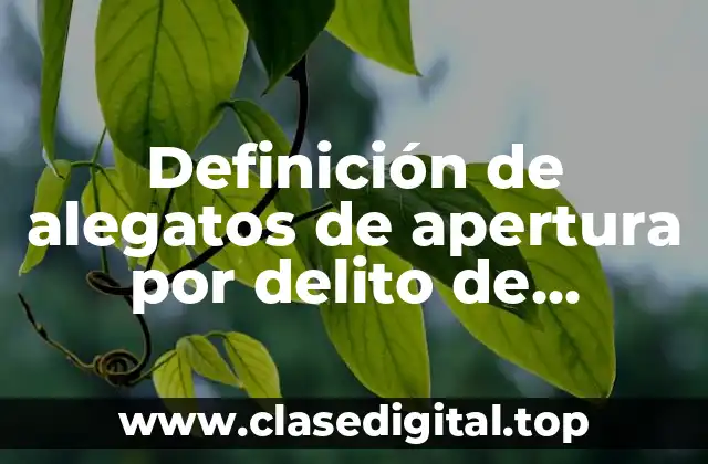 Definición de alegatos de apertura por delito de violación