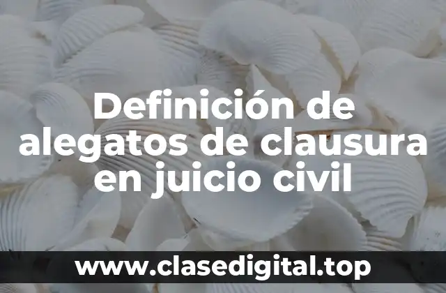 Definición de alegatos de clausura en juicio civil