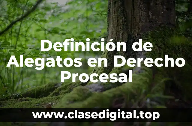 Definición de Alegatos en Derecho Procesal