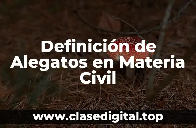 Definición Técnica de Alegatos en Materia Civil
