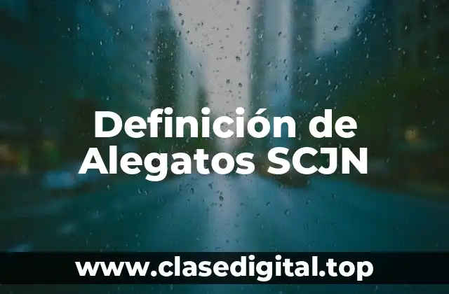 Definición de Alegatos SCJN