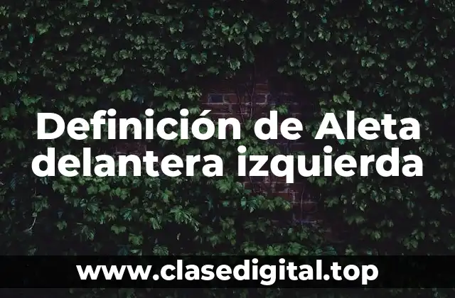 Definición de Aleta delantera izquierda