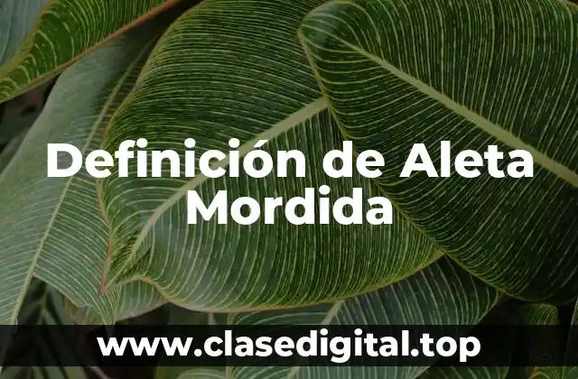 Definición de Aleta Mordida